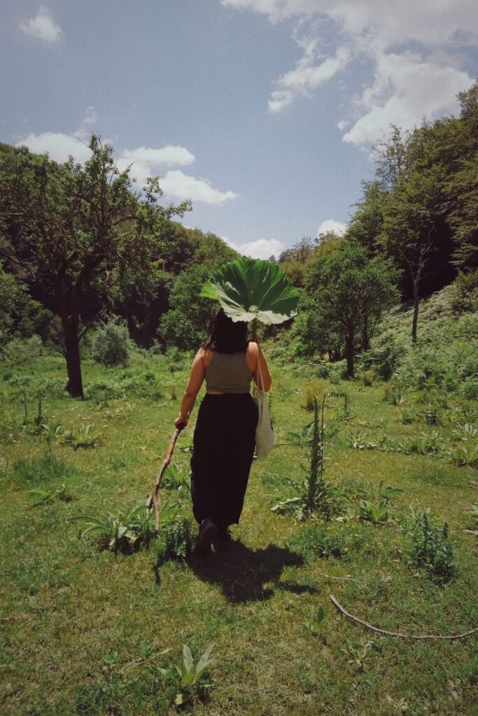 Person walking in nature